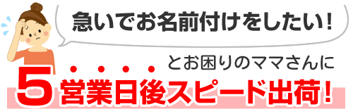 ５営業日後スピード出荷