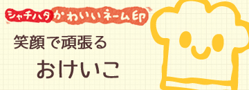 SP シャチハタ スマイルスタンプ おけいこ